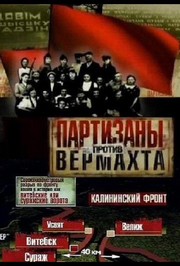 Партизаны против Вермахта (2010)