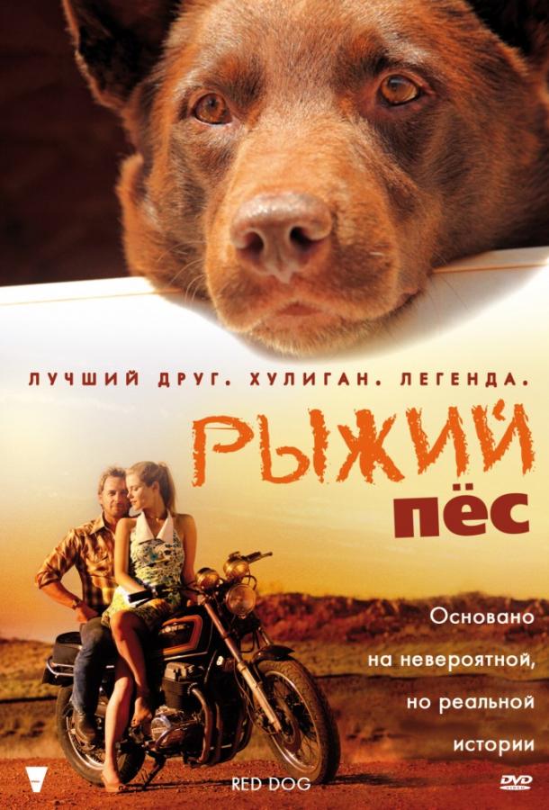 Рыжий пес (2011)