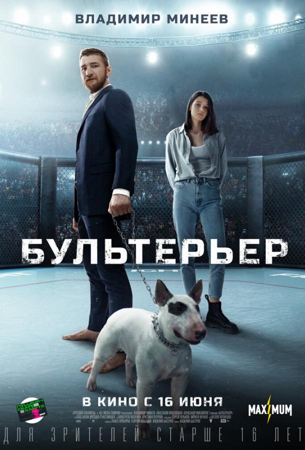 Бультерьер (2021)