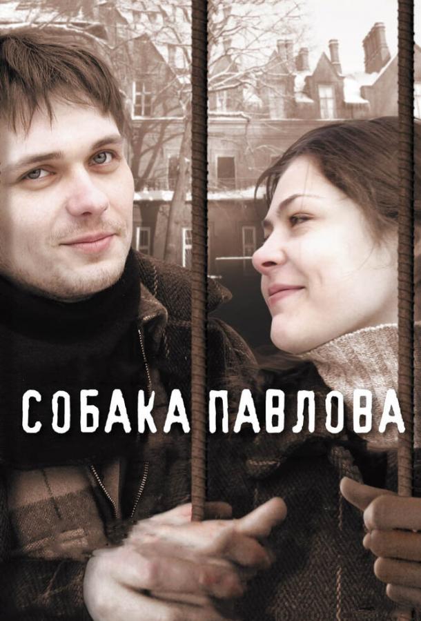 Собака Павлова (2005)